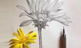 性格色彩学测试