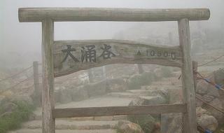 中山国旅国际旅行社