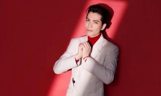 萧敬腾成都演唱会