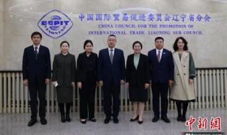 沈阳韩国大使馆