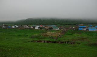 我愿做一只小羊 我愿做一只小羊