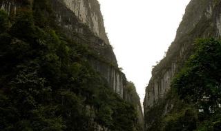 重庆最高峰 重庆最高峰