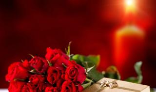一束红玫瑰 一束红玫瑰