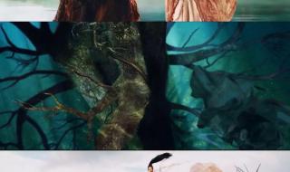 男主将女主抵在树上做 男主将女主抵在树上做