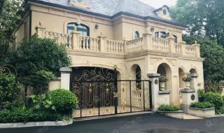 重庆中央别墅区 重庆中央别墅区