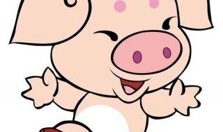 匕鬯不惊是什么生肖